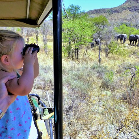 safari i afrika pris